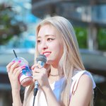 <b>DNA</b> 결정이 탁월했던 아이돌