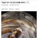 난 이런 <b>화법</b> 개싫어함