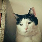 얼굴에 대놓고 <b>티냄</b>ㅋㅋㅋㅋㅋ