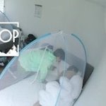 김태형<b>상탈</b>하고 잤나바..
