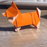 [TXT모아] 당근마켓 코기분양