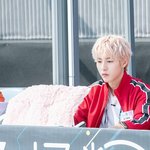 [NCT즌] 집중하고있는 아기<b>핑크</b>푸들