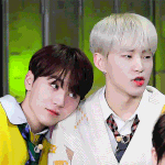 [세븐틴] 멤버들 최애머리 모얌