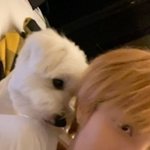 [NCT] <b>양양</b>이와 념념군