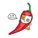 와 나 방금 스케치퀴즈에서 시비<b>털</b><b>림</b>