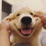 [방탄소년단] 우리 낮누 비테스 <b>월드</b>도 <b>오</b>글거려서