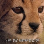 [NCT] <b>항마력</b> 테스트
