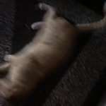 [댓글부탁해] Nct-<b>we</b> go up같은 노래 ㅊㅊ좀..