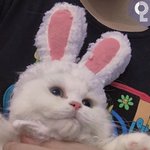 [댓글부탁해] 아무리 친한 친구여도 <b>손절</b> 가능해?