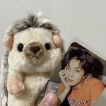 [NCT] ㅅㄷ 난 도치 <b>해찬</b>이 닮아서 샀오ㅎㅎ