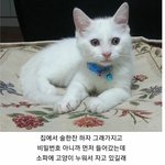 [드루와] 아이폰 폰꾸 하는 얘들아