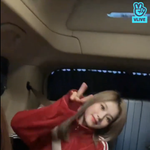 사나가 널디입은거