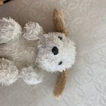 [댓글부탁해] 얘들아 내 <b>애착</b>인형들 보고가