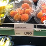 [고3] 인하대 학종 비빌까 말까 추반좀 하
