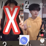 틱톡커 <b>벨라</b> 악플 ㅈㄴ심하네