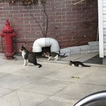 우리 엄마는 ㅈㄴ <b>프리</b>함 ㅋㅋㅋ