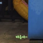 [NCT] 사실 이름이 태용인 강아지 ㅋㅋㅋㅋㅋ