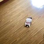 [댓글부탁해] 자기 태몽 적고가라아<b>아아</b>