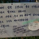 [동물사랑방] <b>잠실</b> 롯데마트앞 고양이 입양갔네요!!