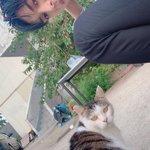 [펜타곤] 고먐밈과 플라<b>월</b>