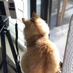 [이것좀봐줘] 유튜브 커버 채널 하는데 홍보가 안돼서 속상해욧!...