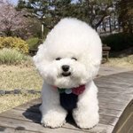 [드루와] <b>짝</b>남이 너네친구랑 사귄다면 어떡할래?