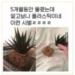 [댓글부탁해] 고 1 과학 노베 어<b>카지</b> ,,