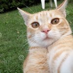 [NCT] 재현 버블 유출