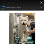 얘들아 이거 <b>원본</b> 뭐야?