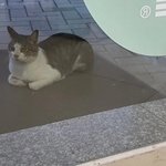 [댓글부탁해] <b>한씨</b> 남자 이름추천좀