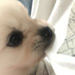 [드루와] 우리집 공주님 자랑한다