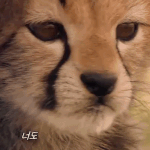 [NCT즌] 막타같은 좀 <b>호러</b> 나페스 ㅊㅊ 좀