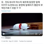 [방탄소년단] <b>아빠</b> 따라서 월와핸 길 걷나요
