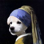 [댓글부탁해] <b>나정</b>신데수시안써도되지?