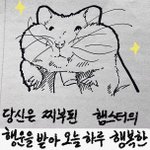 [드루와] 한양대논술 지르는애 있냐
