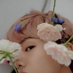 [NCT즌] 이왕 뿌린김에 얼루어 사진 다 <b>뿌림</b> ㅎㅎ