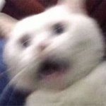 [드루와] ++ <b>MBTI</b> 특 T랑 F 상황 대입해보셈 ㅇㅇ