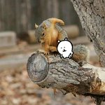 [TXT모아] 다람쥐<b>동무</b>