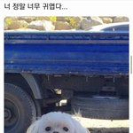 [드루와] 다 떨어지면 <b>하향</b> 넣은 곳에 가려고 했는데 맘 접음