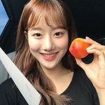 셀카 후면 잘찍히는법 딱 알려줌