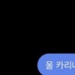 ㅇㅈㅁ <b>예명</b>이 카리나임............?