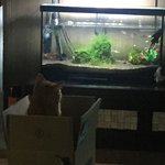 [NCT] JCC, TCC 보고 왔는데