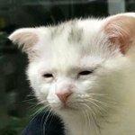 [댓글부탁해] <b>야들</b>아 나 응원좀해주라
