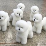[댓글부탁해] 고대 <b>세종</b>캠 진짜 인식 많이 안좋아...???ㅠㅠㅠㅠ
