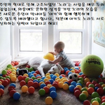 트라우마를 이겨낸 개의 <b>온화</b>함