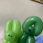 율<b>집</b> 갱<b>얼</b>쥐 모델견 가능?