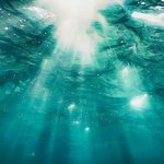 면도기로 거기 절대 <b>밀지</b>마 ㅅㅂ