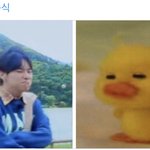 [빅톤] 매번 느끼는건데