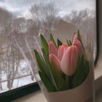 [댓글부탁해] 요즘 어몽<b>어스</b> 초딩판 되지 않았냐? ㅋㅋ