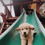 [드루와] 유튜버 질문 받아여ㅎㅎ히히